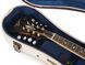 Gator GW-JM MANDOLIN GC-0497 фото 8