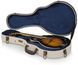 Gator GW-JM MANDOLIN GC-0497 фото 10