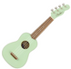 FENDER UKULELE VENICE SOPRANO SURF GREEN WN Укулеле FE-0622 фото 1