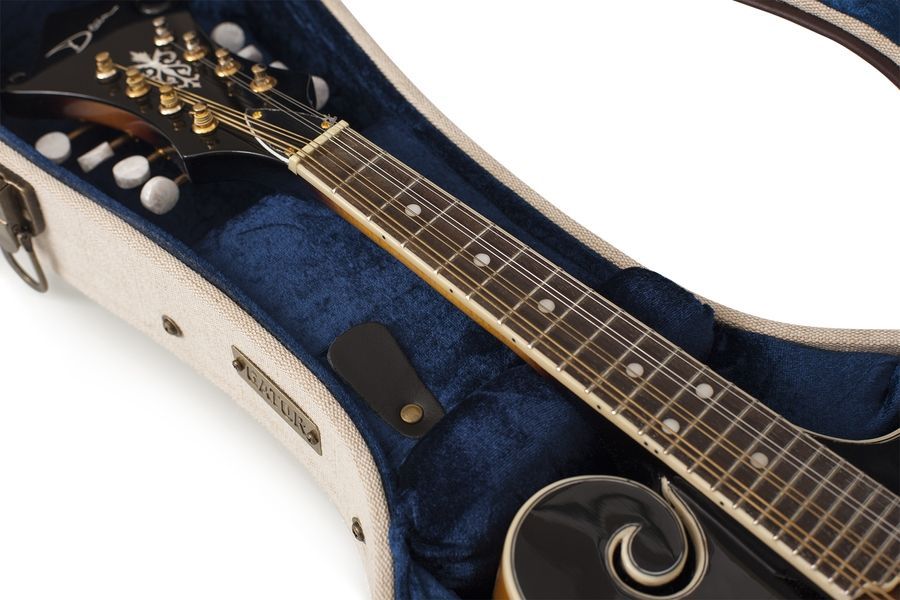 Gator GW-JM MANDOLIN GC-0497 фото