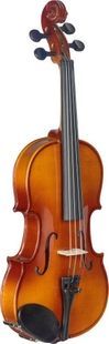 Скрипка з футляром Stagg VL 1/4 ST-0497 фото