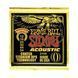 Струни для акустичної гітари 12-54 Ernie Ball P02156 EB-0096 фото