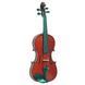 Скрипка Gliga Violin 3/4 Gems Albina GL-0222 фото 1