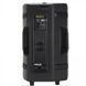 Активна акустична система RCF HD 32A МК 4 RC-1307 фото 6
