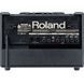 Гитарный комбоусилитель Roland AC60 RO-0032 фото 3