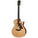Гітара акустична Taylor 614ce TY-0199 фото