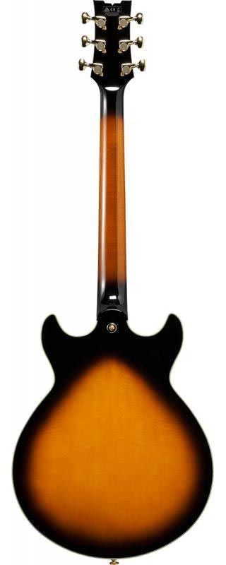 IBANEZ AM2000H-BS Гітара напівакустична IB-0055 фото