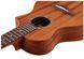 IBANEZ UEWT5 OPN Укулеле IB-0271 фото 5