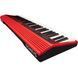 Синтезатор Roland Go:Keys красный RO-2306 фото 6
