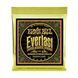 Струни для акустичної гітари 12-54 Ernie Ball P02556 EB-0027 фото