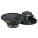 НЧ громкоговоритель RCF L18P300 RC-0670 фото 1