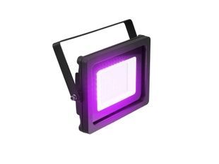 EUROLITE LED IP FL-30 SMD purple EL-0798 фото