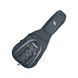 Чохол для гітари Proel BAG3000PBG/BR PR-0438 фото 2