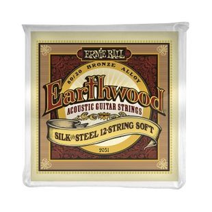 Струни для акустичної гітари 12-стр.гітари 9 Ernie Ball P02051 EB-0011 фото