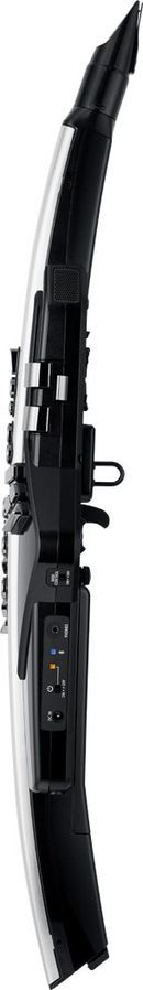 Цифровой духовой инструмент Roland AE30 Aerophone Pro RO-2791 фото