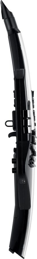 Цифровой духовой инструмент Roland AE30 Aerophone Pro RO-2791 фото