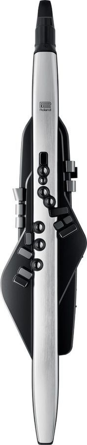 Цифровой духовой инструмент Roland AE30 Aerophone Pro RO-2791 фото