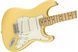 FENDER PLAYER STRATOCASTER MN BCR Електрогітара FE-0526 фото 3