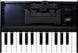 Клавиатура Roland K-25m RO-2038 фото 4