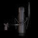Студійний мікрофон Aston Microphones Element Bundle AM-0212 фото 2