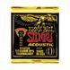 Струни для акустичної гітари 13-56 Ernie Ball P02154 EB-0095 фото