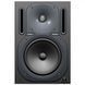 Студійний монітор Behringer B2030P BE-0049 фото 1
