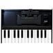 Клавиатура Roland K-25m RO-2038 фото 1