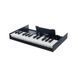 Клавиатура Roland K-25m RO-2038 фото 3