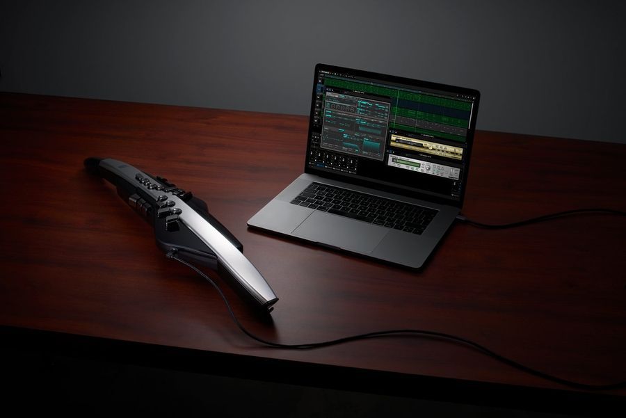 Цифровой духовой инструмент Roland AE30 Aerophone Pro RO-2791 фото