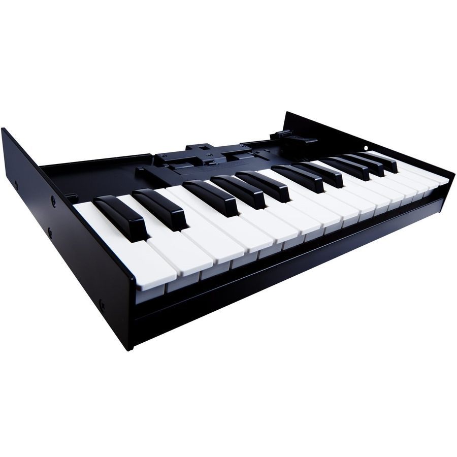 Клавиатура Roland K-25m RO-2038 фото