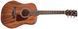 IBANEZ AW54JR OPN Гітара акустична IB-0064 фото