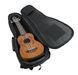 Gator GB-4G-UKE SOP GC-0049 фото 2