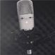 Студійний мікрофон Behringer C3 BE-0156 фото 6