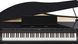 Цифровой рояль Roland GP-3 RO-2911 фото 6