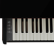 Цифровой рояль Roland GP-3 RO-2911 фото 7