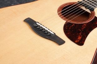 IBANEZ AAD170CE LGS Гітара електроакустична IB-0040 фото