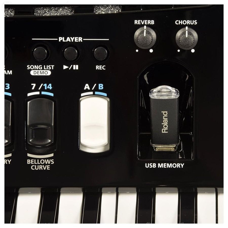 Цифровой баян Roland FR4XB-BK Черный матовый RO-2159 фото
