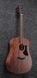 IBANEZ AAD140 OPN Гітара акустична IB-0039 фото 1