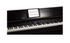 Цифрове фортепіано Roland DP603CB Чорне матове RO-2141 фото 3
