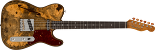 FENDER CUSTOM SHOP ARTISAN BUCKEYE BURL DOUBLE ESQUIRE CUSTOM THINLINE NOS NAMM LIMITED Електрогітара FE-0301 фото