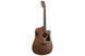 IBANEZ AW247CE Гітара електроакустична IB-0061 фото 3