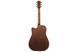 IBANEZ AW247CE Гітара електроакустична IB-0061 фото 2