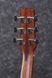 IBANEZ AAD100 Гітара акустична IB-0037 фото