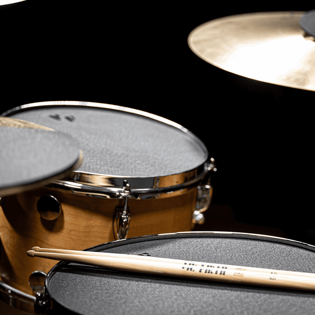 Заглушка для тома VIC FIRTH VICMUTES08 (8") VF-0491 фото
