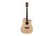 IBANEZ AW150CE OPN Гітара електроакустична IB-0060 фото