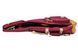 IBANEZ ICB541 WR Чохол для класичної гітари IB-0138 фото 3