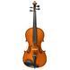 Скрипка Gliga Violin Gliga Extra GL-0228 фото 1