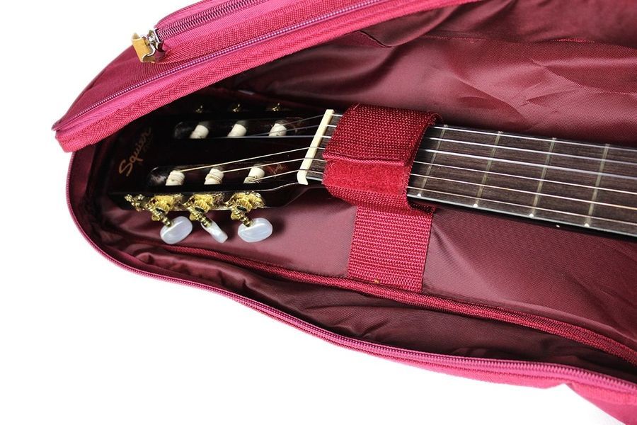 IBANEZ ICB541 WR Чохол для класичної гітари IB-0138 фото