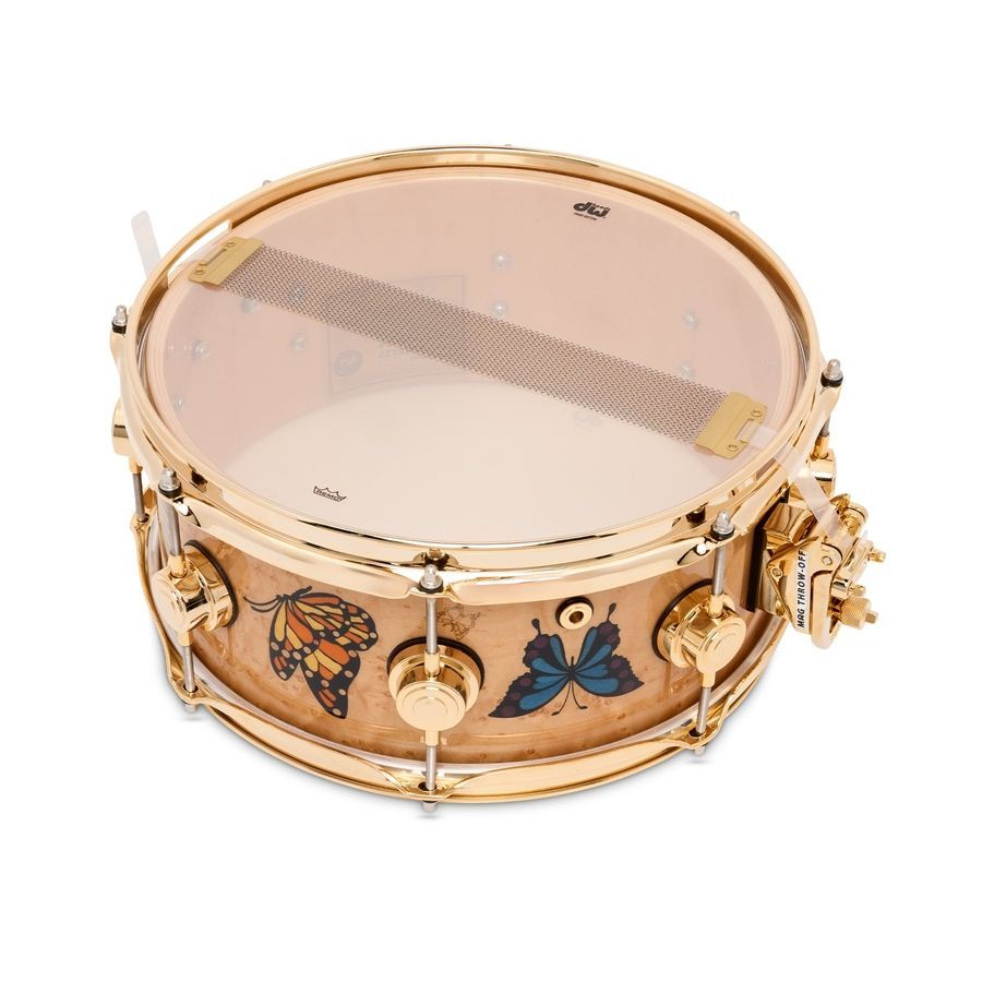 DW DREX5513SSG-SESheila E. DW ICON Snare Drum DW-X374 фото