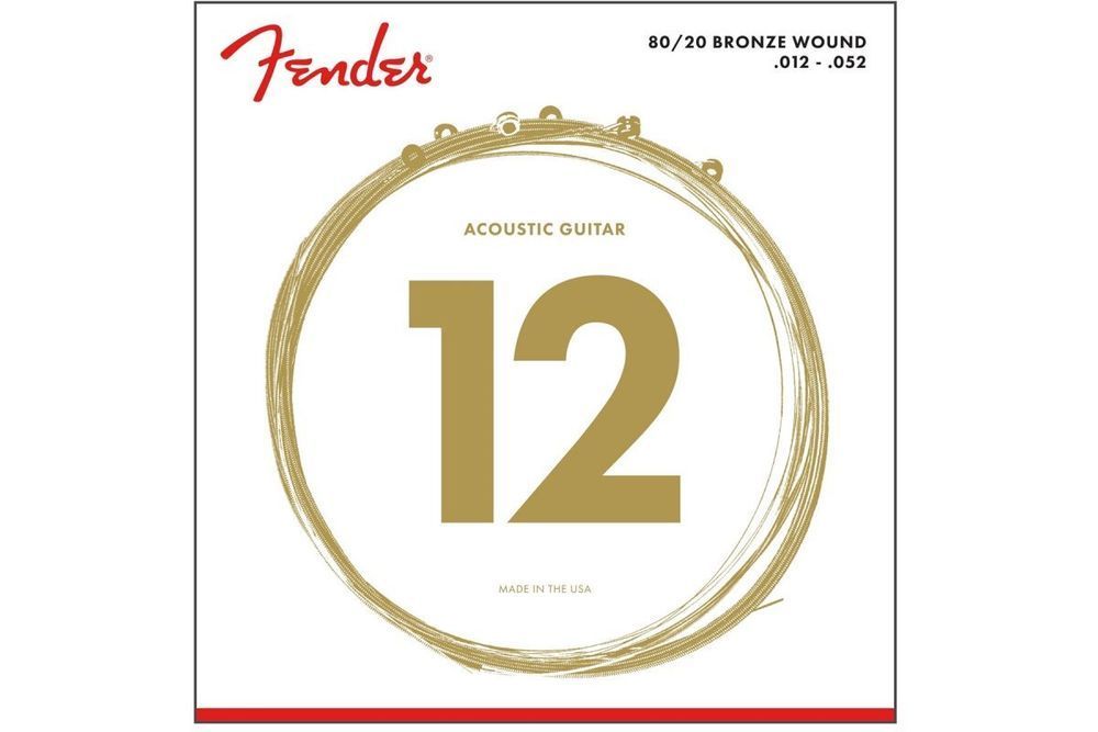 Струни для акустичних гітар Fender 70L FE-0028 фото